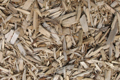 biomass boilers Roedean